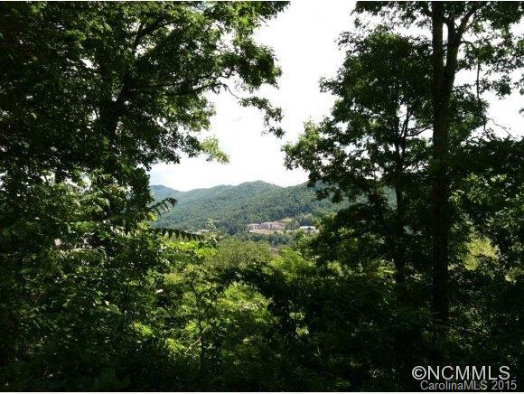 4-5 South Delano Road Asheville, NC 28805 - Photo 3 of 8
