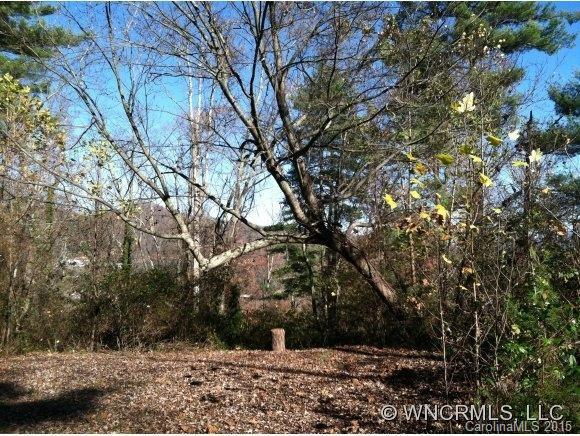 4-5 South Delano Road Asheville, NC 28805 - Photo 6 of 8