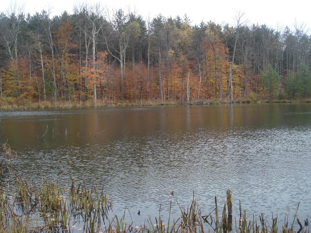 537 Goodrich Road Edmeston, NY 13335 - Photo 1 of 1 Gallery Image 1