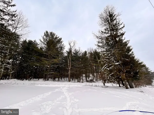 a view of snow on the road