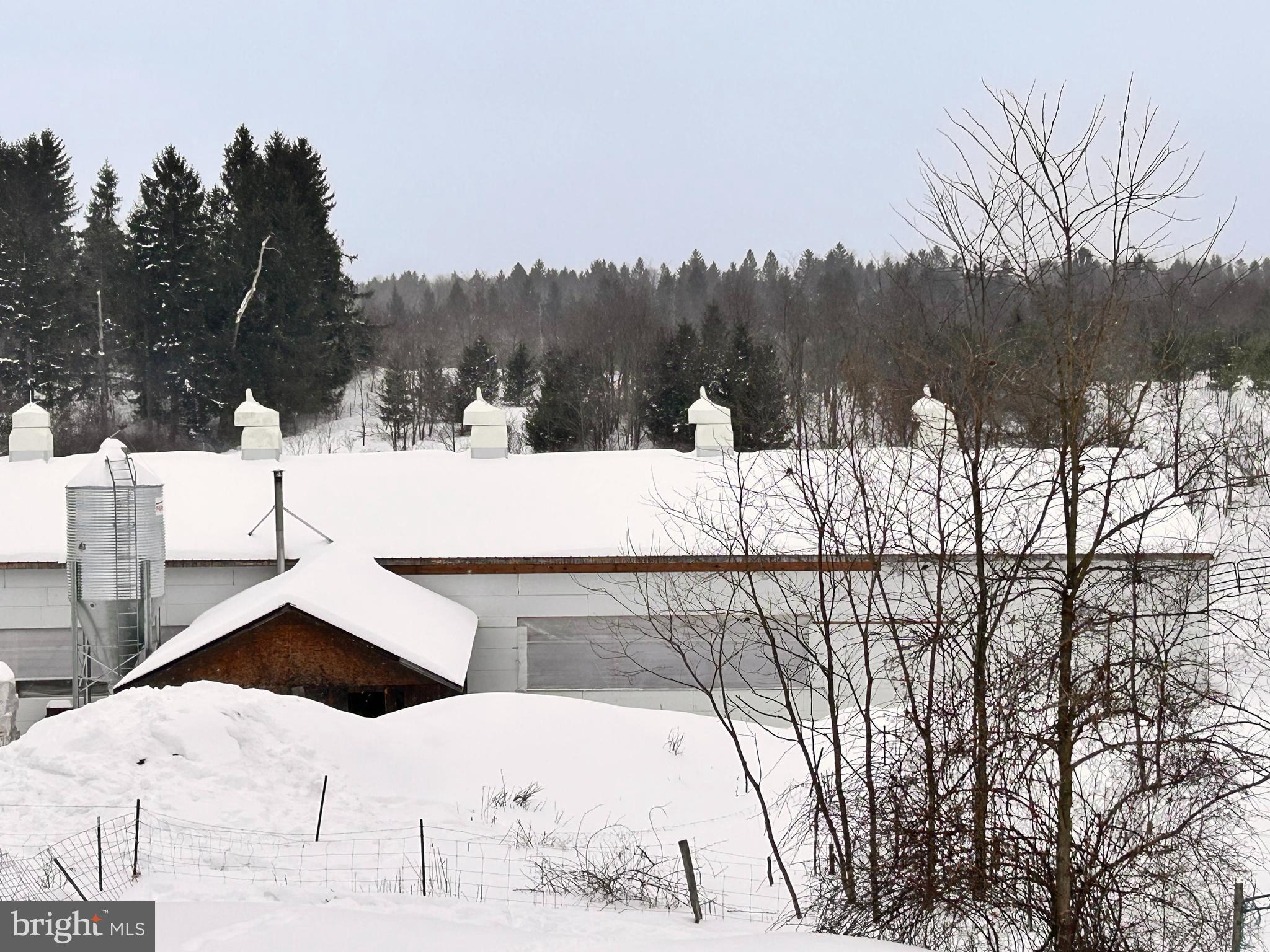 210 Kings Road New Millport, PA 16861 - Photo 22 of 26