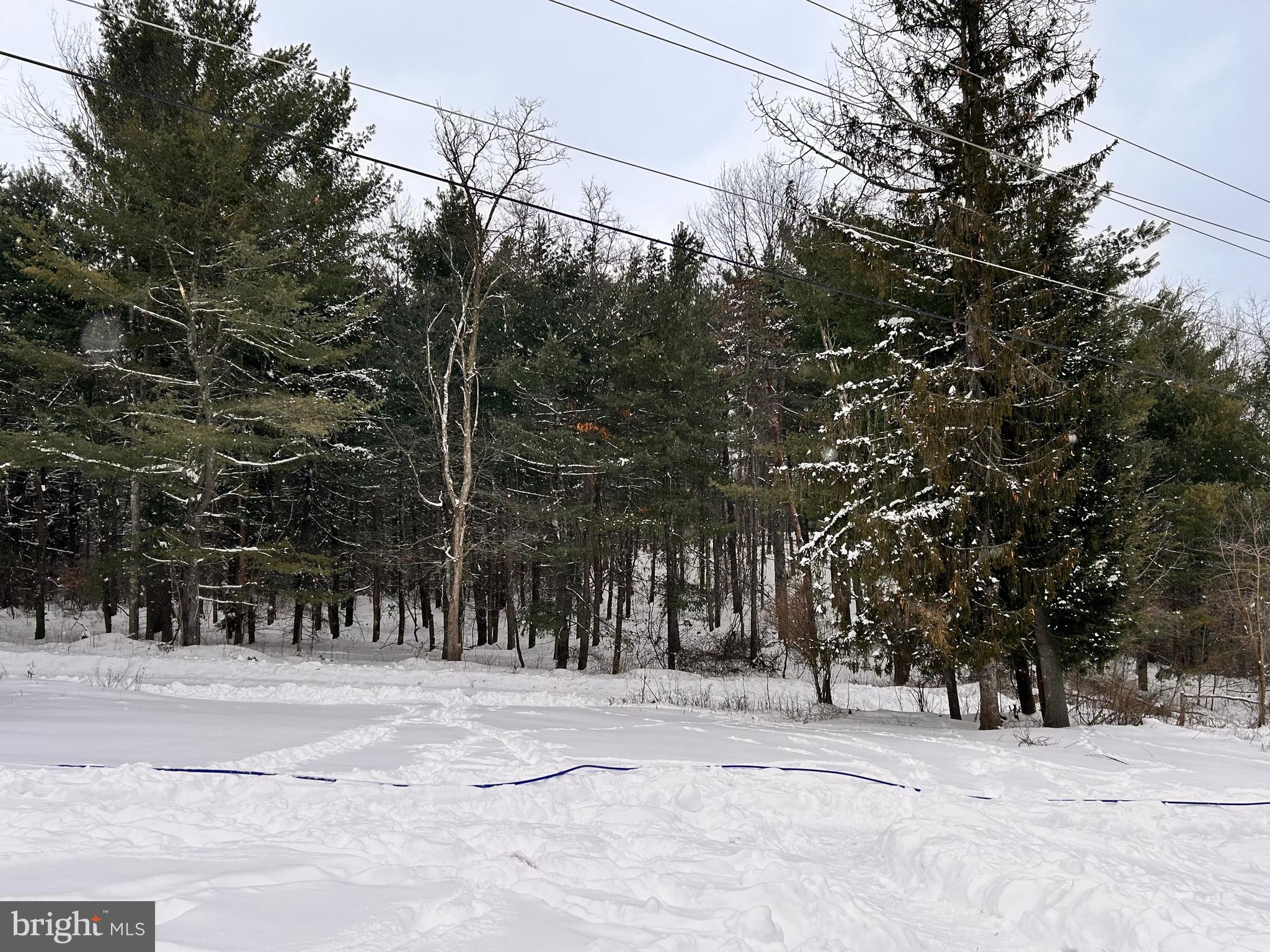 210 Kings Road New Millport, PA 16861 - Photo 24 of 26