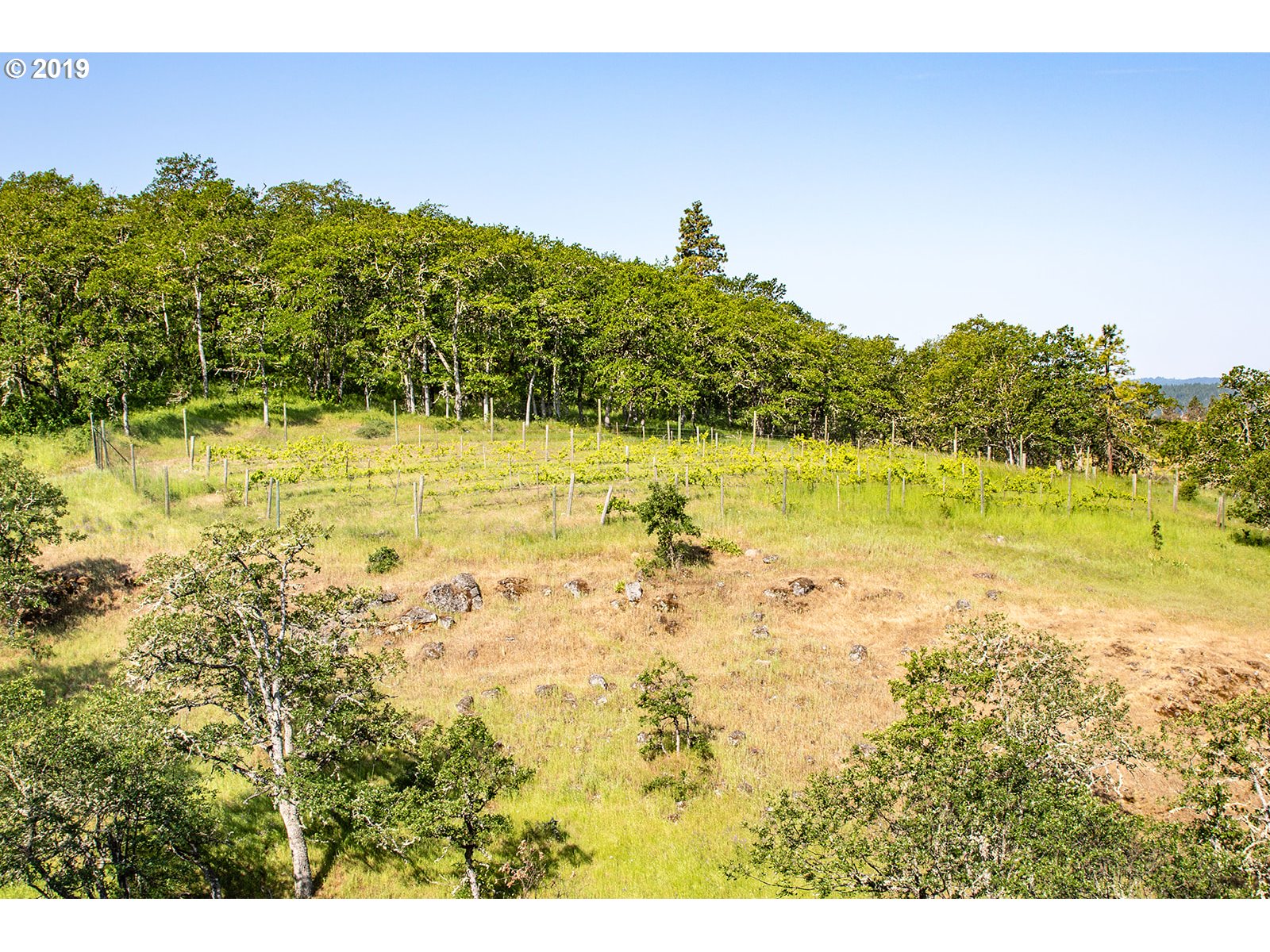 1607 Catron Road Mosier, OR 97040 - Photo 27 of 31 Gallery Image 27