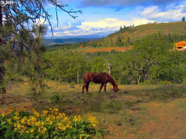 1607 Catron Road Mosier, OR 97040 - Photo 28 of 31 Gallery Image 28