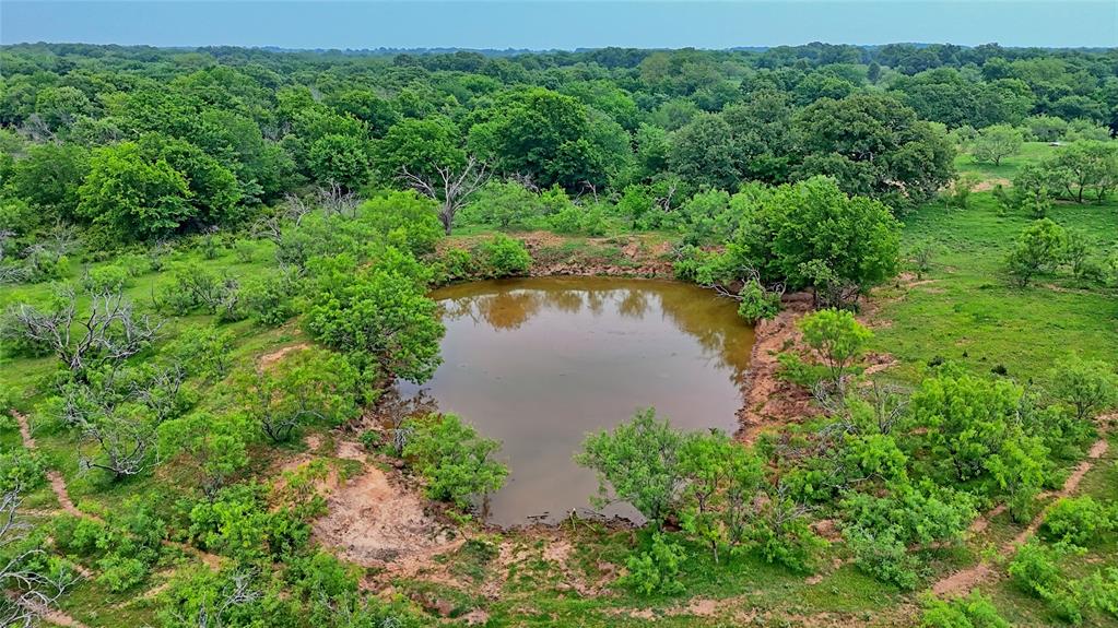 Tbd Tbd Cardwell Road Nocona, TX 76255 - Photo 6 of 30