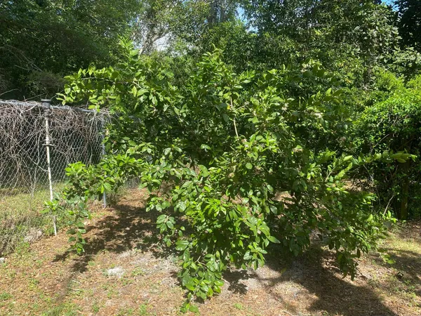 $599,000 | 14040 Highway 20, Niceville, FL 32578