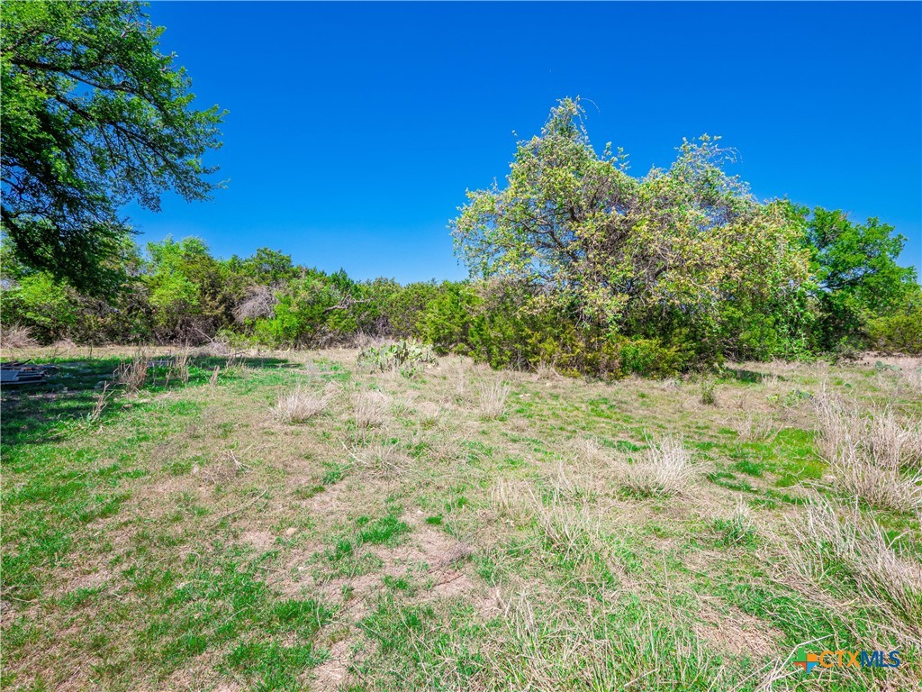 21500 Firefly Road Florence, TX 76527 - Photo 33 of 39