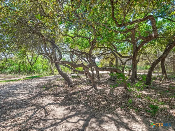 $275,000 | 21500 Firefly Road, Florence, TX 76527