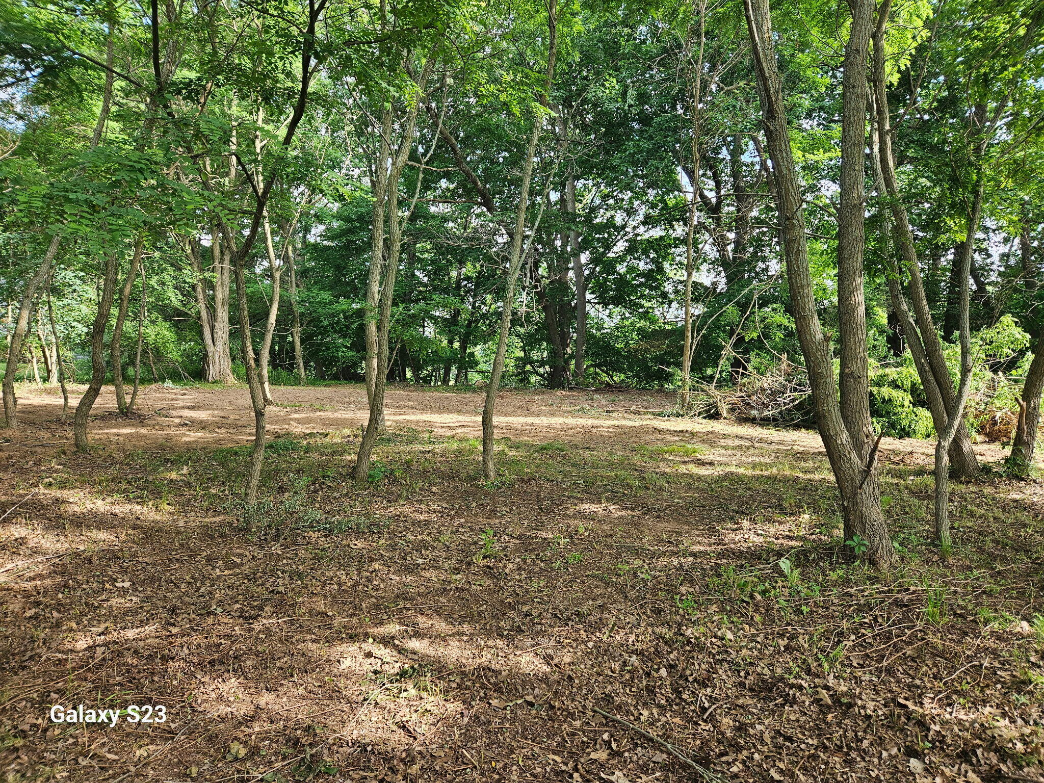 12269 Coral Road Coral, MI 49322 - Photo 3 of 9 1000007043