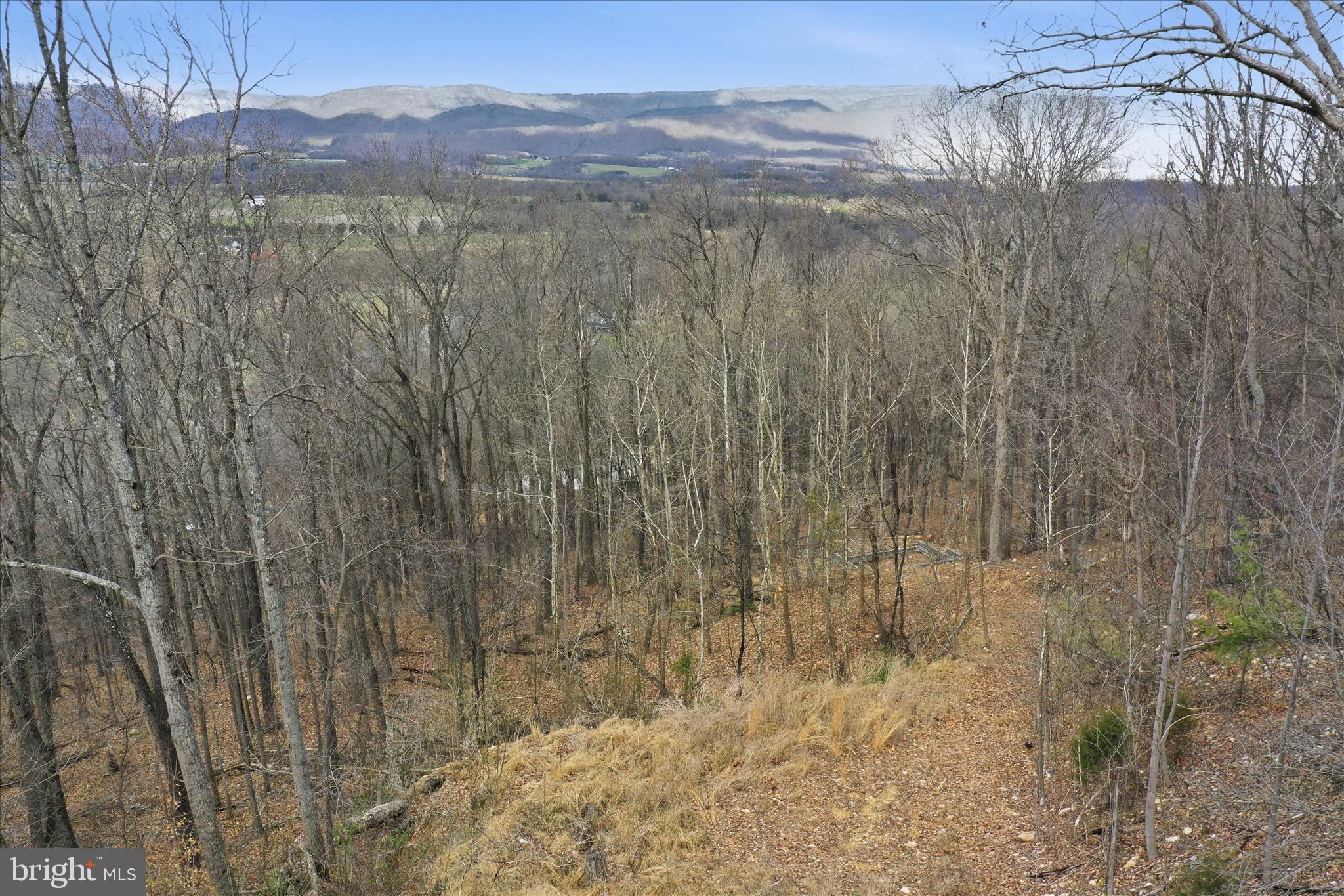 509 River View Place Shenandoah, VA 22849 - Photo 11 of 39 a view of a dry yard with trees in the background