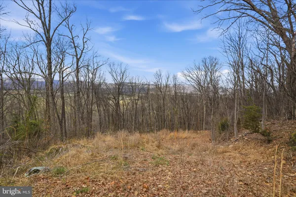 a view of backyard with green space