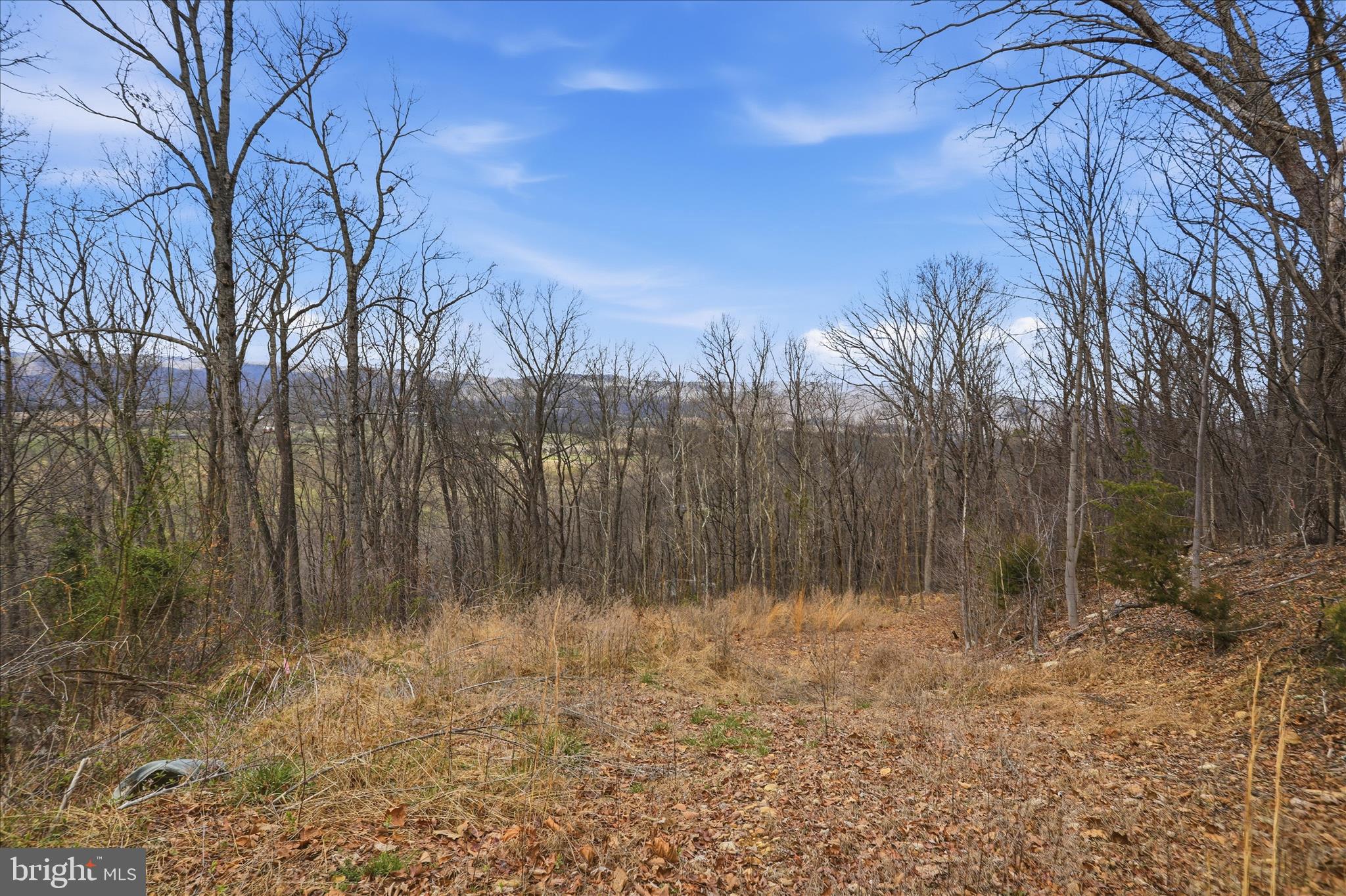 509 River View Place Shenandoah, VA 22849 - Photo 2 of 39 a view of backyard with green space