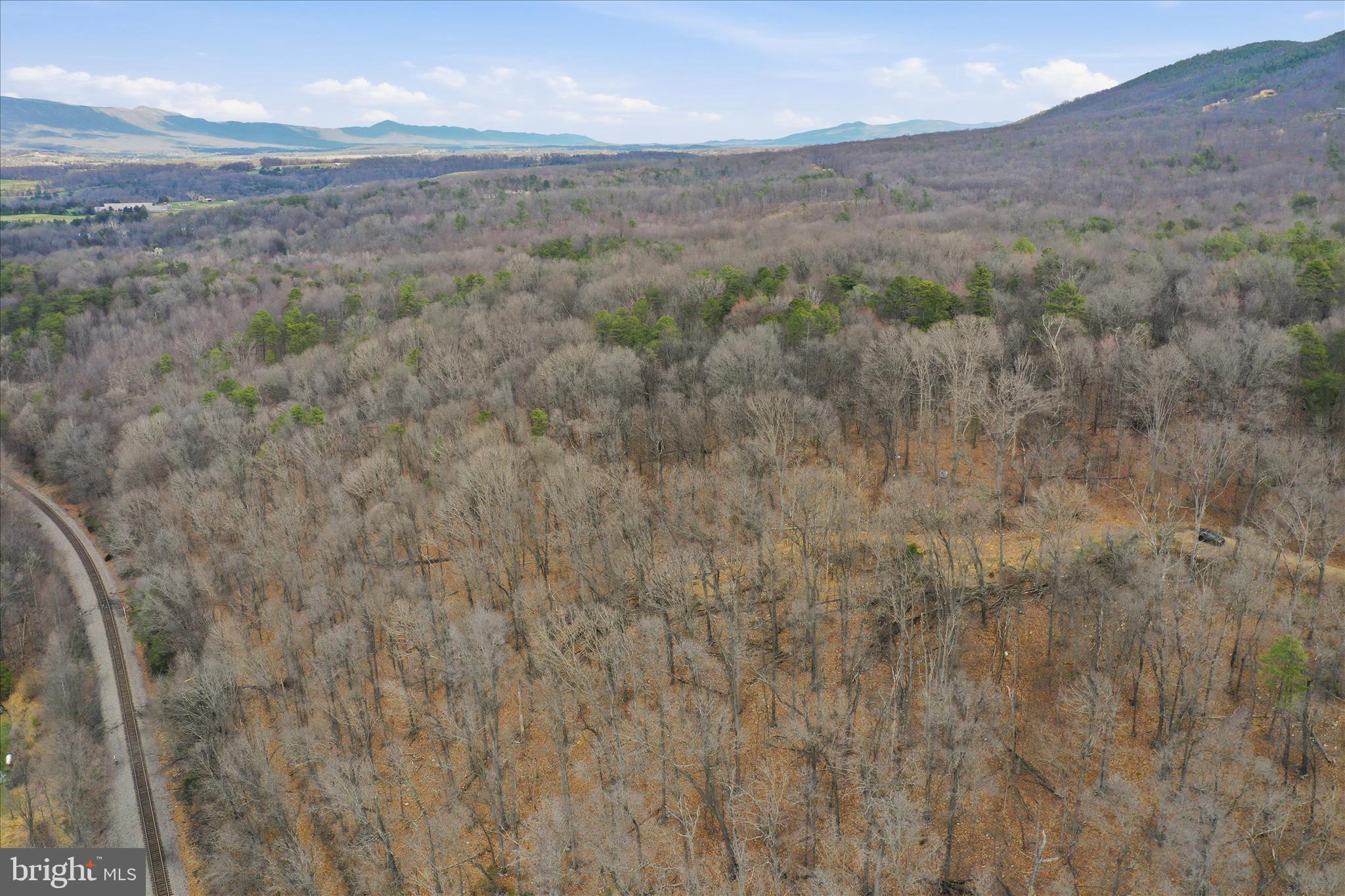 509 River View Place Shenandoah, VA 22849 - Photo 22 of 39 a view of a dry field