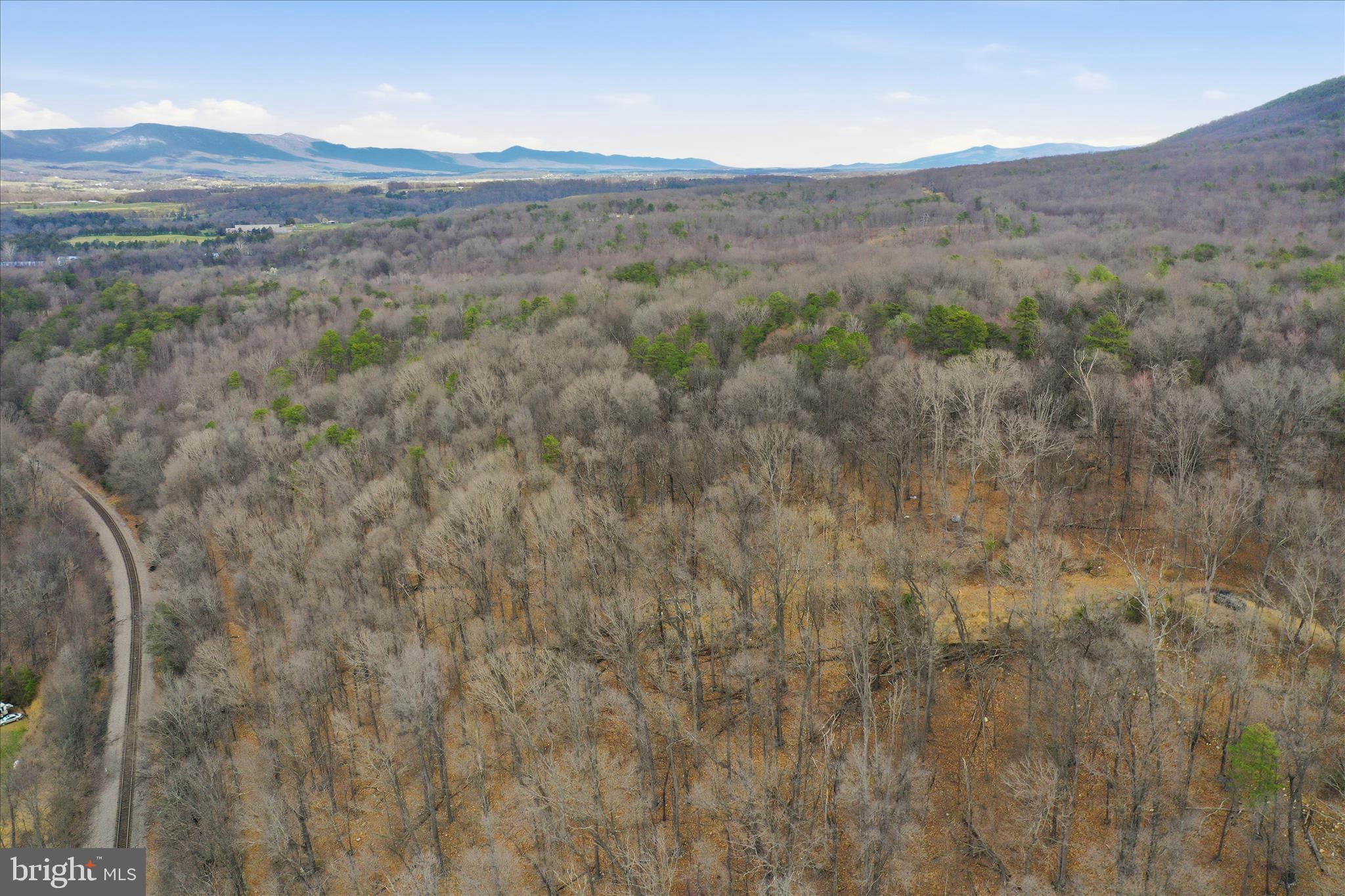 509 River View Place Shenandoah, VA 22849 - Photo 23 of 39 a view of a dry field