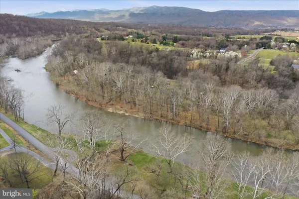 a view of a lake in middle of forest