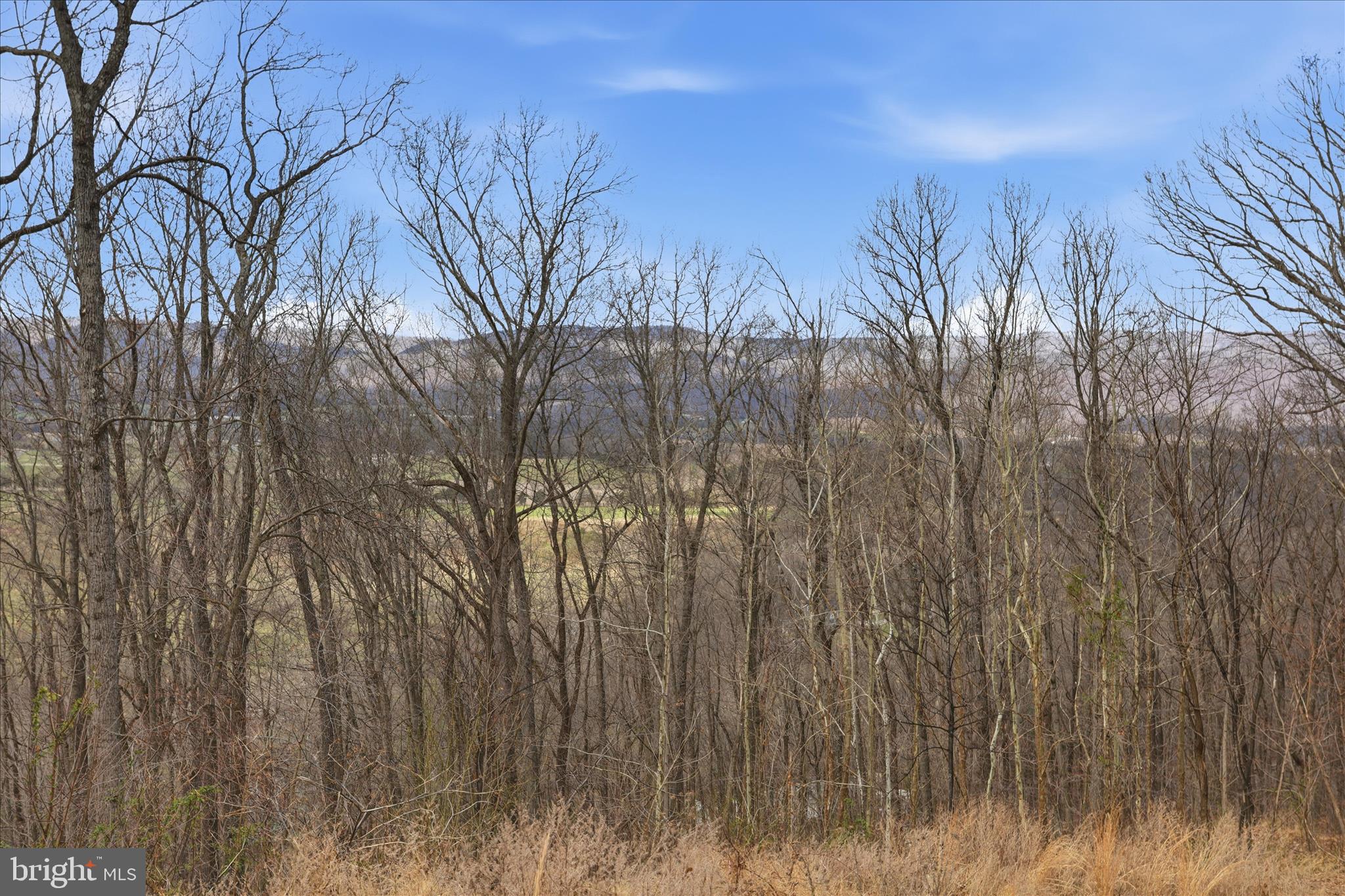 509 River View Place Shenandoah, VA 22849 - Photo 3 of 39 a view of a yard with wooden fence
