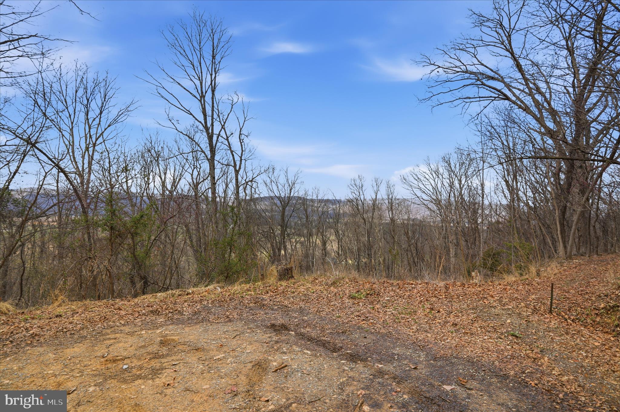 509 River View Place Shenandoah, VA 22849 - Photo 4 of 39 a backyard of a house