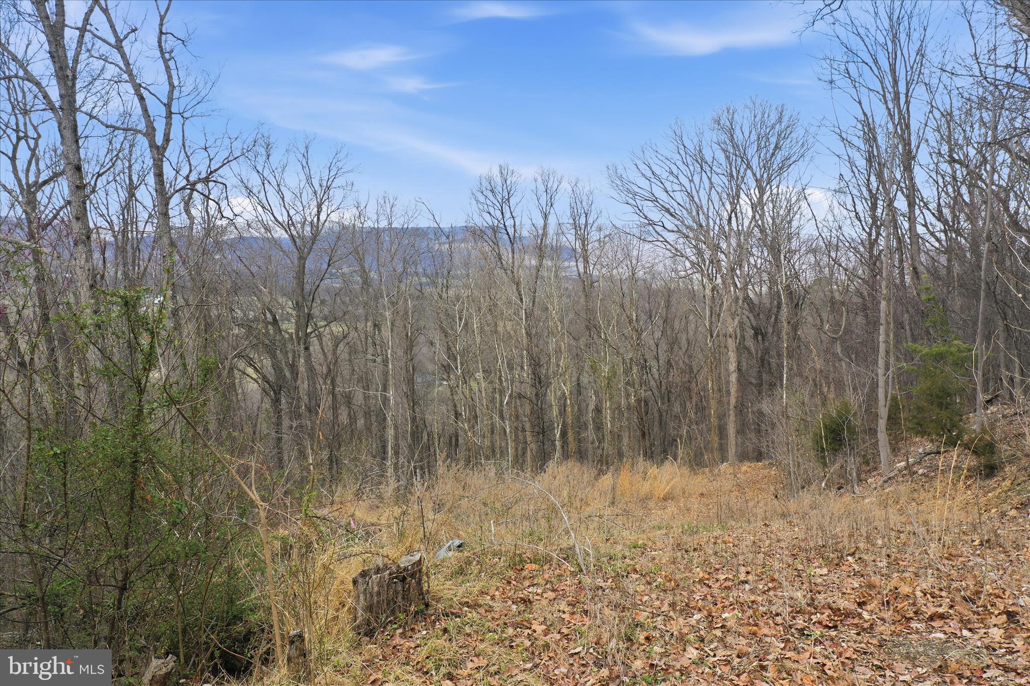 509 River View Place Shenandoah, VA 22849 - Photo 9 of 39 a view of a yard