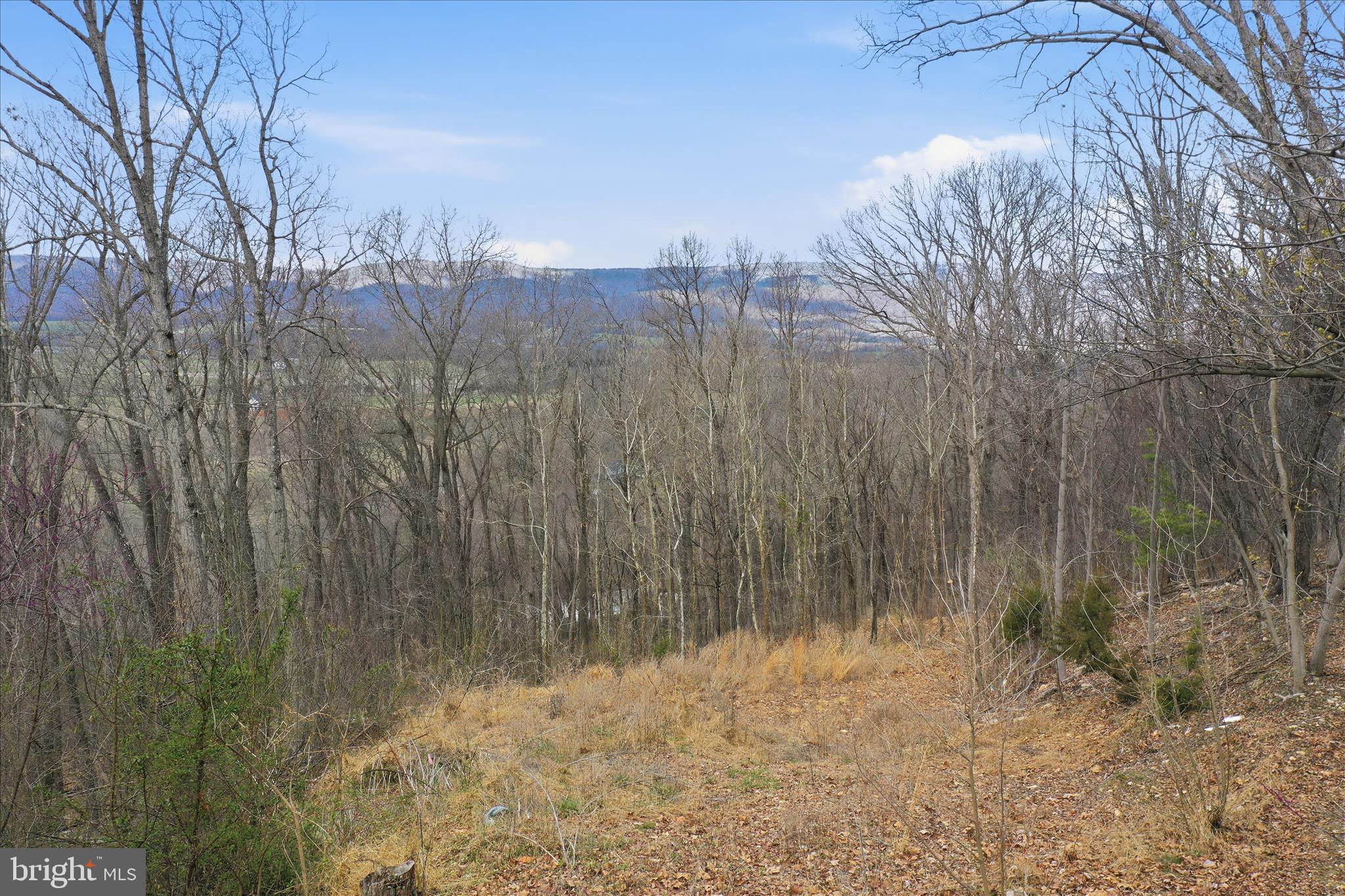509 River View Place Shenandoah, VA 22849 - Photo 10 of 39