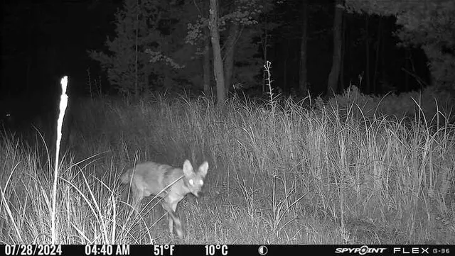 $100,000 | 3486 West Forest Trail Road, Manistee, MI 49660