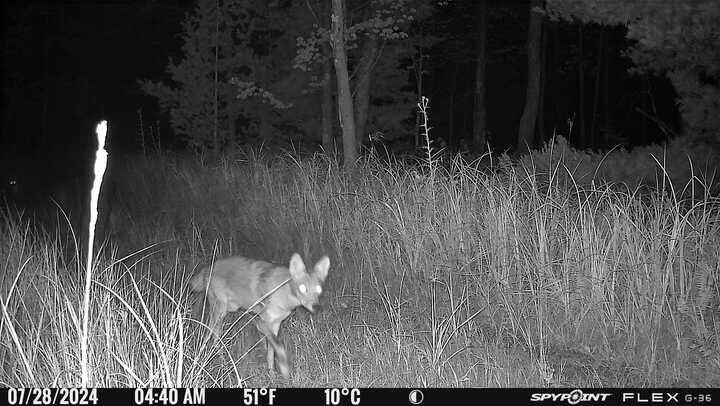 3486 West Forest Trail Road Manistee, MI 49660 - Photo 11 of 21 IMG_8546