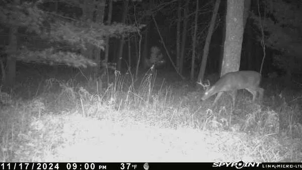 $100,000 | 3486 West Forest Trail Road, Manistee, MI 49660