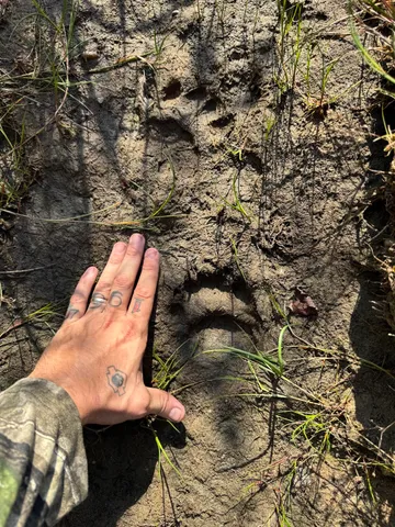 $100,000 | 3486 West Forest Trail Road, Manistee, MI 49660