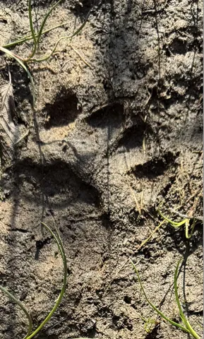 $100,000 | 3486 West Forest Trail Road, Manistee, MI 49660