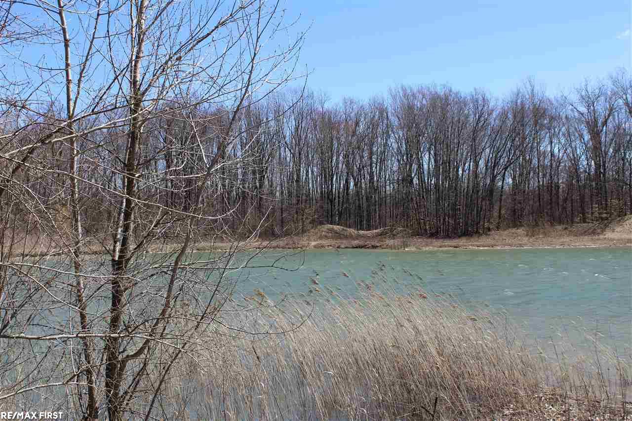 0 Connell Road Yale, MI 48097 - Photo 12 of 22
