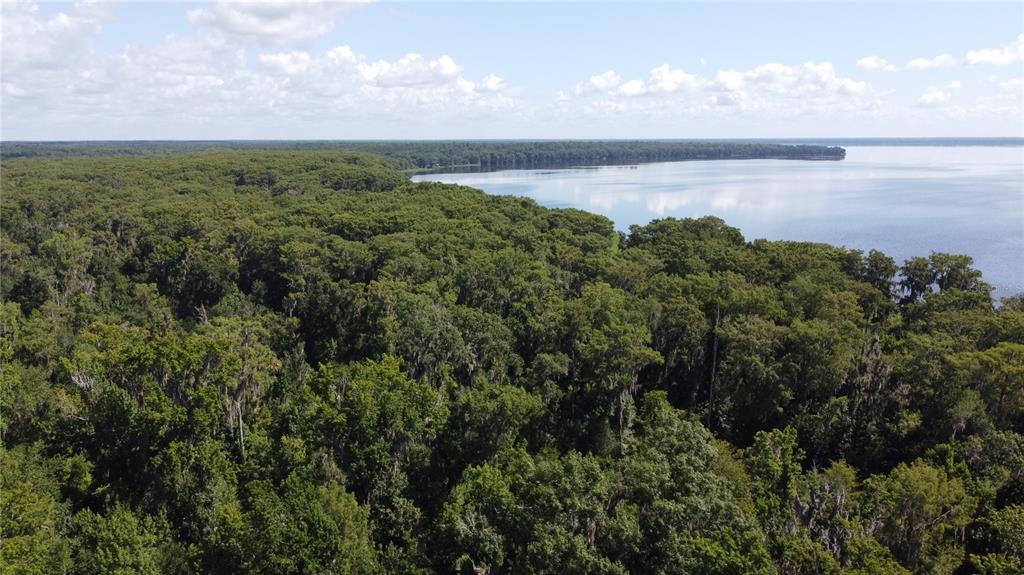 5850 Southeast Hawthorne Road Gainesville, FL 32641 - Photo 3 of 5 a view of a lake from a yard