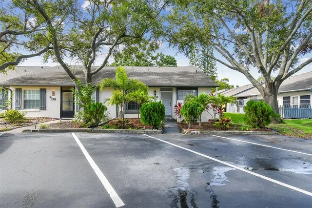 a view of a street with plants and a large tree