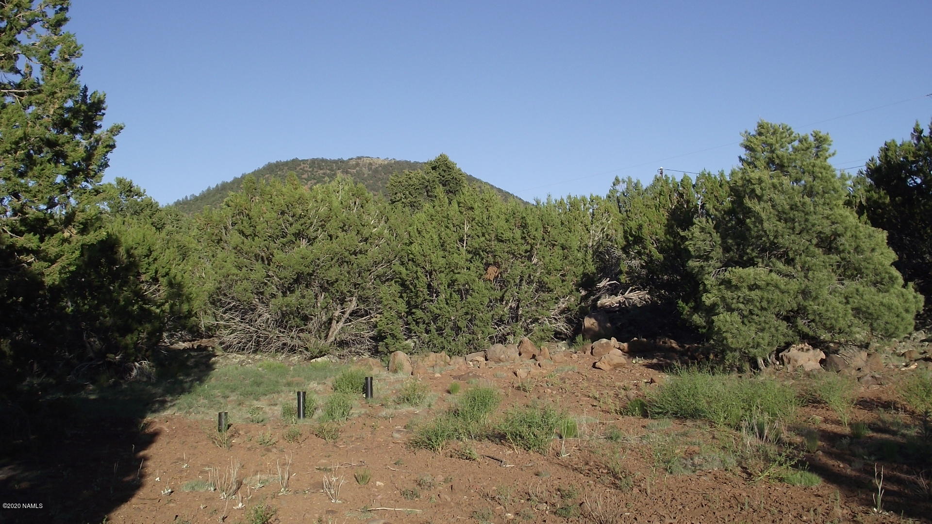 2145 East Fir Road Williams, AZ 86046 - Photo 1 of 16 DSCF4850