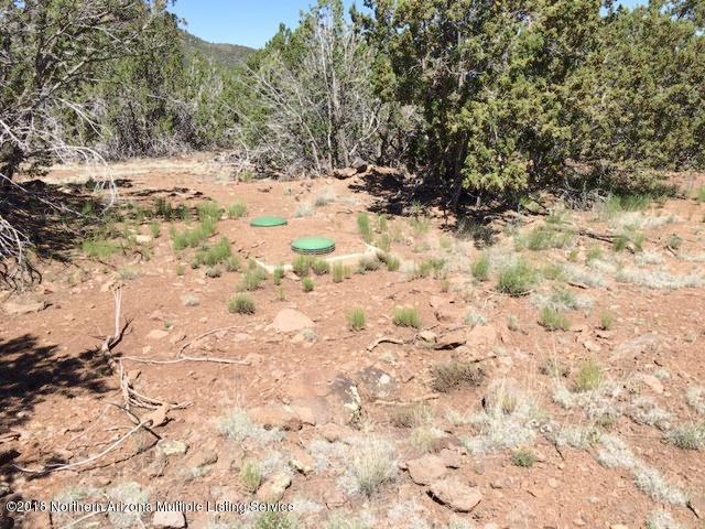 2145 East Fir Road Williams, AZ 86046 - Photo 11 of 16 IMG_2459