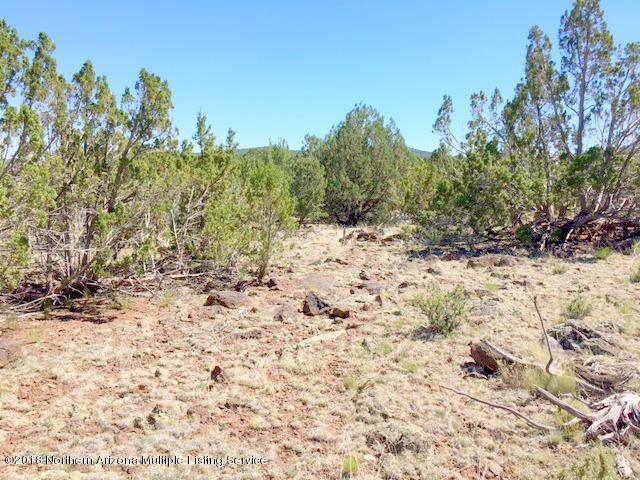 2145 East Fir Road Williams, AZ 86046 - Photo 13 of 16 IMG_2457