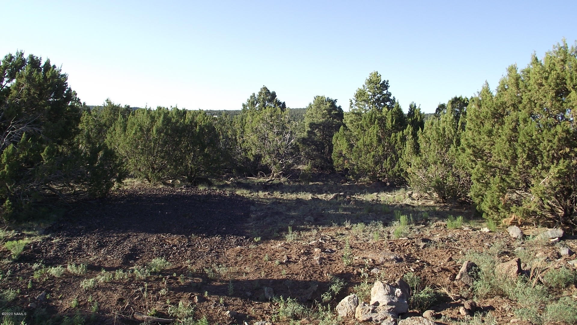 2145 East Fir Road Williams, AZ 86046 - Photo 2 of 16 DSCF4848