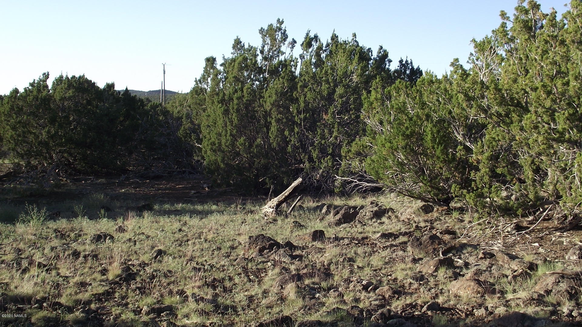 2145 East Fir Road Williams, AZ 86046 - Photo 3 of 16 DSCF4852