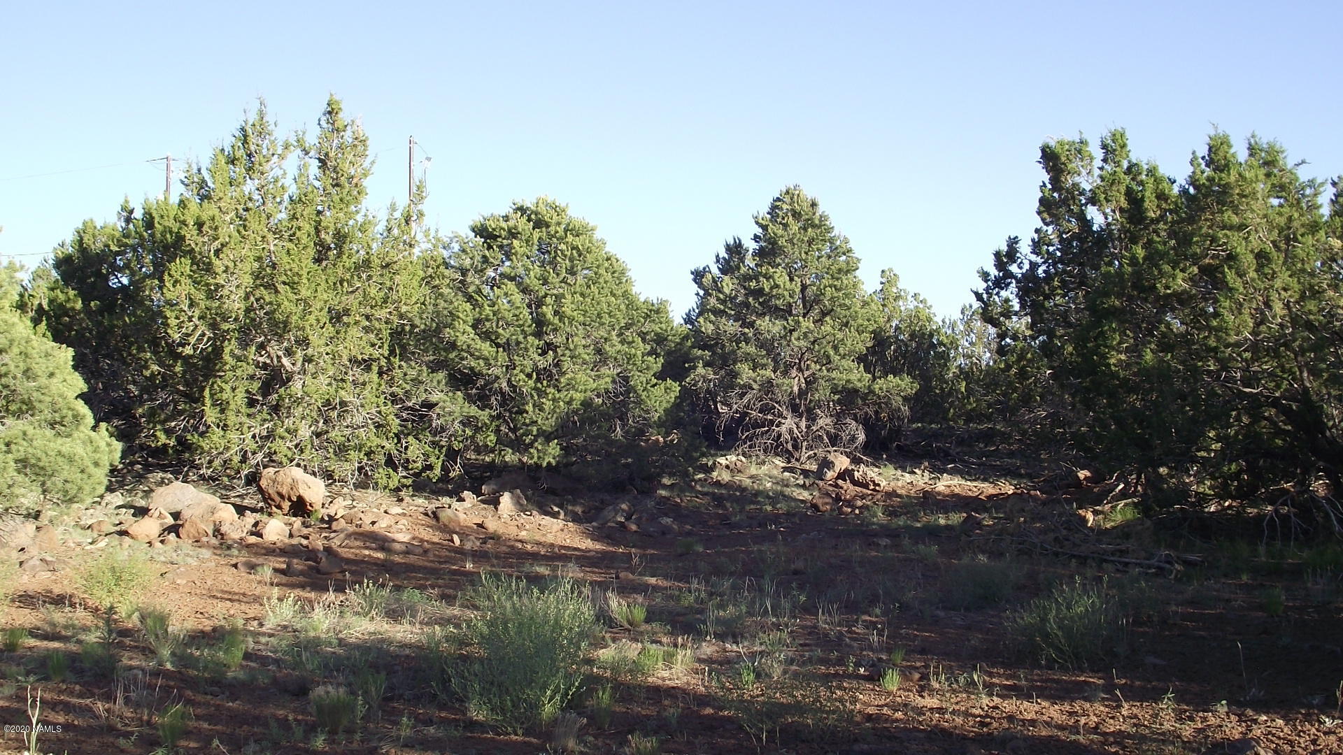 2145 East Fir Road Williams, AZ 86046 - Photo 4 of 16 DSCF4851
