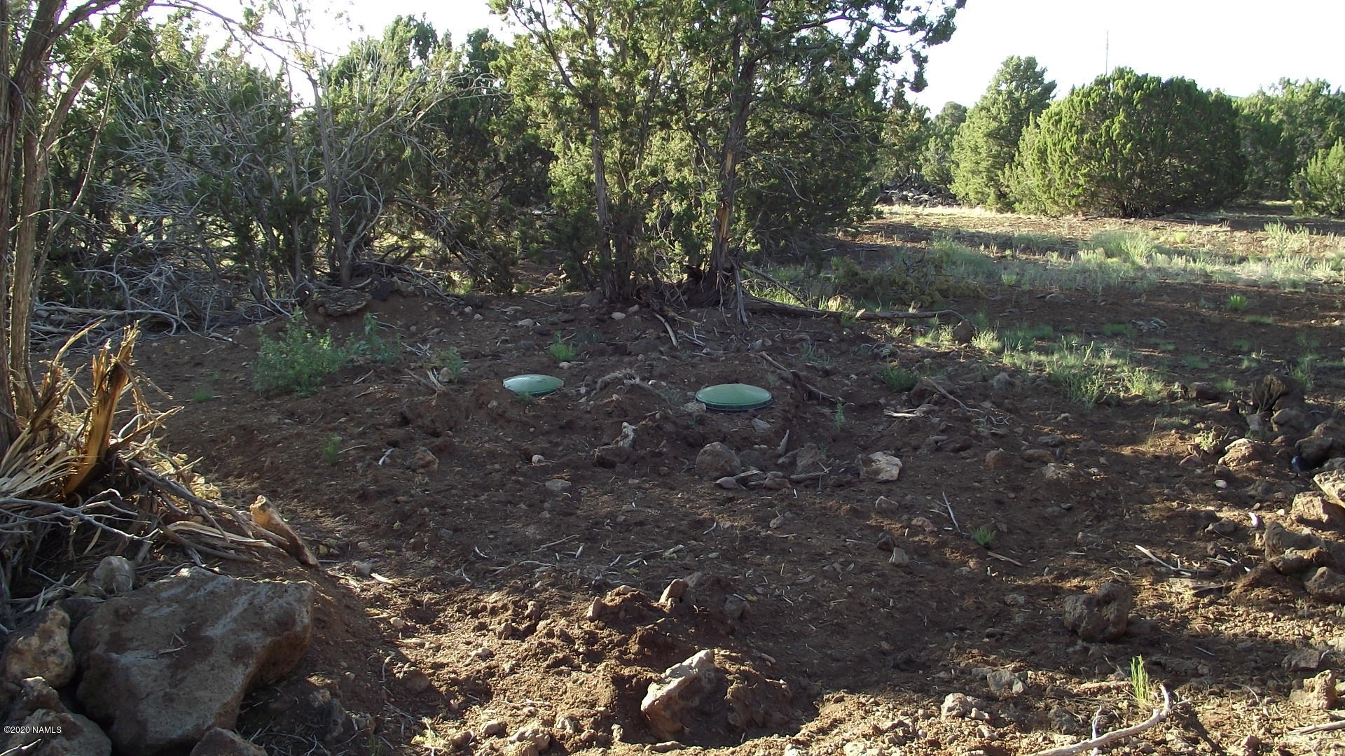 2145 East Fir Road Williams, AZ 86046 - Photo 5 of 16 DSCF4849
