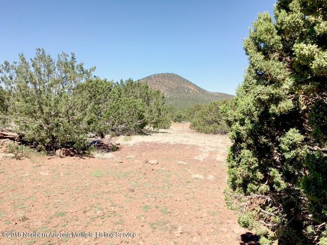 2145 East Fir Road Williams, AZ 86046 - Photo 7 of 16 IMG_2463