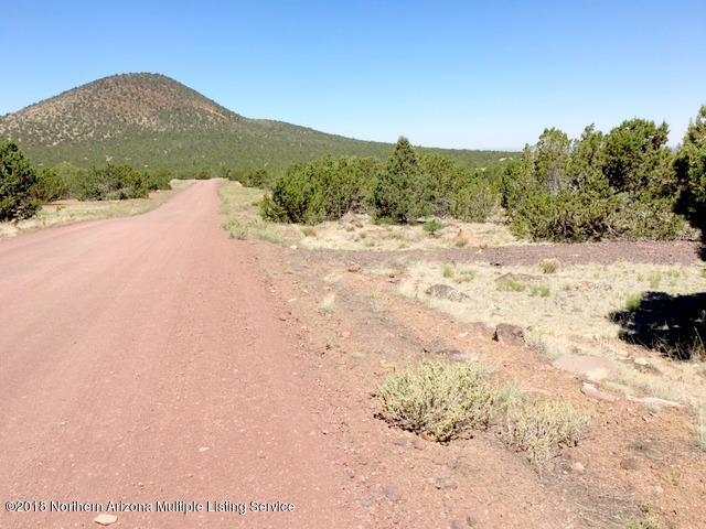 2145 East Fir Road Williams, AZ 86046 - Photo 9 of 16 IMG_2456