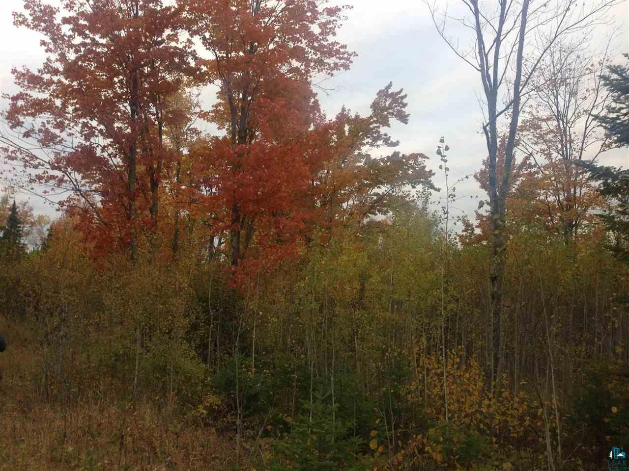 4244 Schultz Road Duluth, MN 55803 - Photo 15 of 16