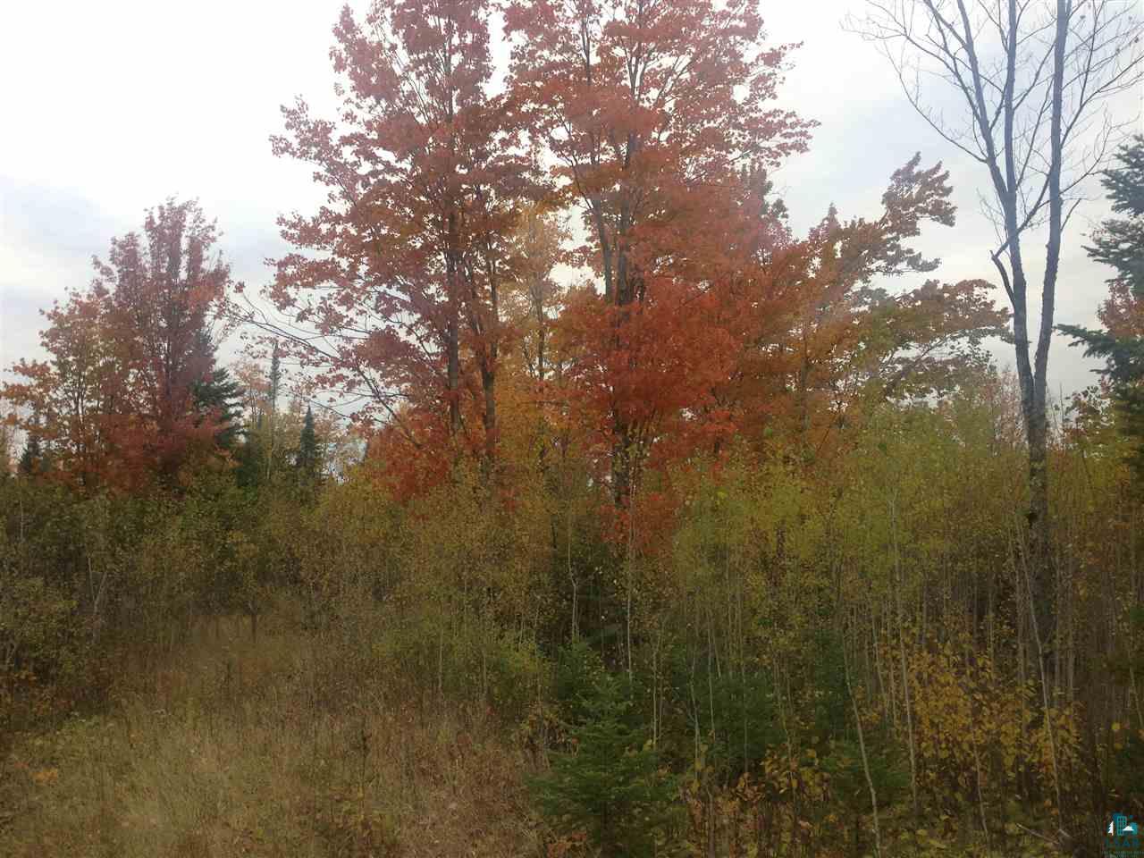 4244 Schultz Road Duluth, MN 55803 - Photo 16 of 16