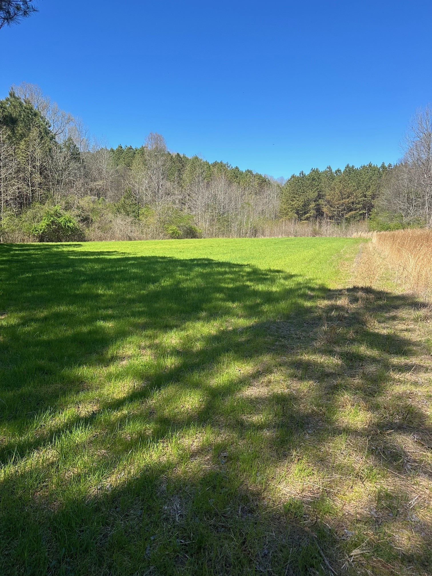 0 Pope Road Elkmont, AL 35620 - Photo 6 of 9 a view of a field with an ocean