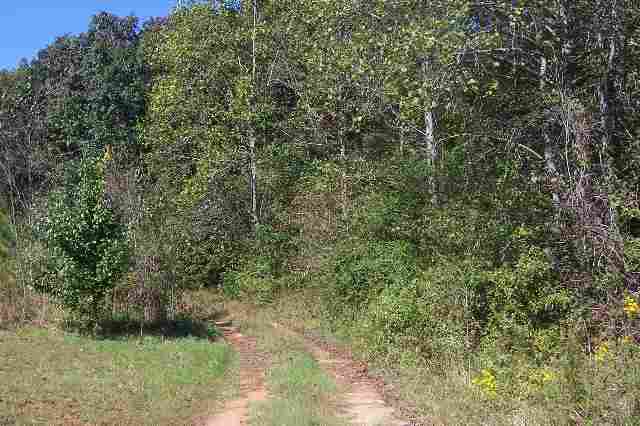 403 Katies Road Seneca, SC 29678 - Photo 3 of 3 Gallery Image 3
