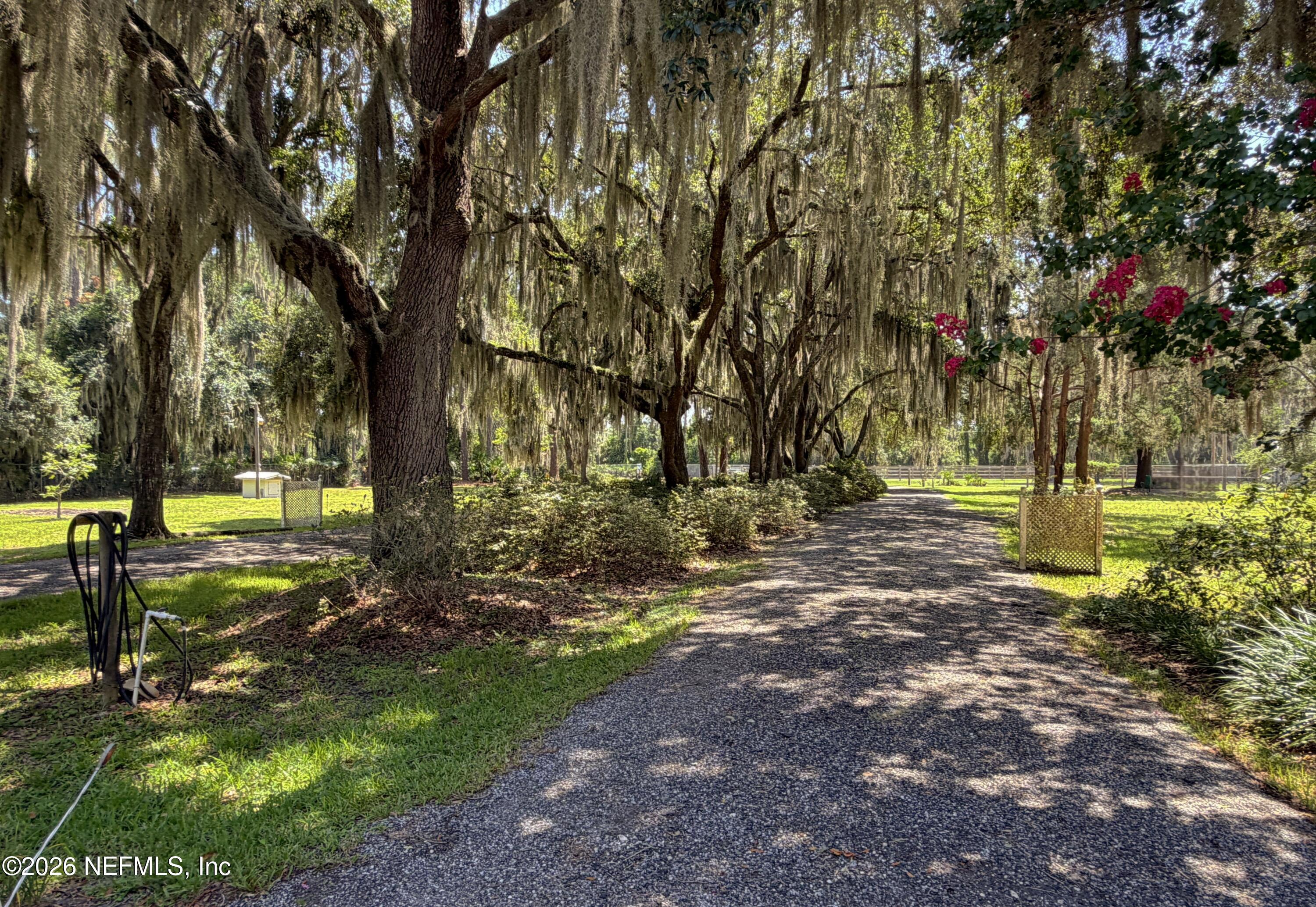 442 Cedar Creek Road Palatka, FL 32177 - Photo 28 of 57 Driveway (4)