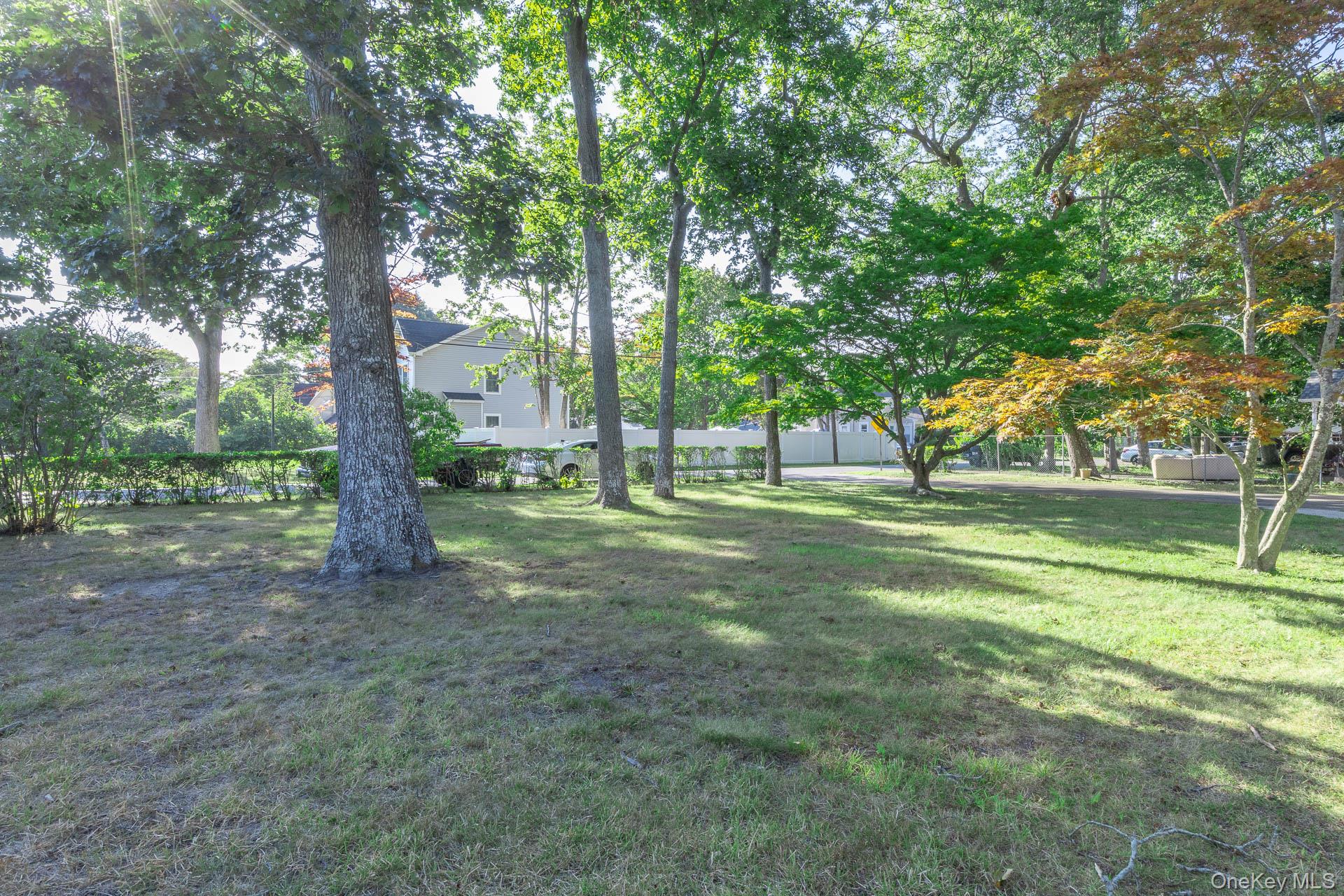 261 Elm Road West Mastic Beach, NY 11951 - Photo 17 of 22 a view of a tree in a yard