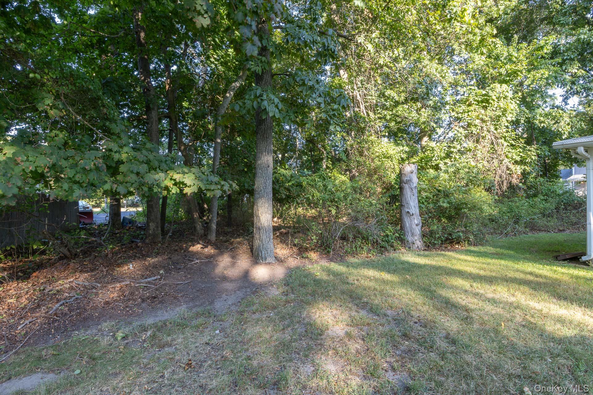 261 Elm Road West Mastic Beach, NY 11951 - Photo 20 of 22 a view of a tree in the middle of a yard