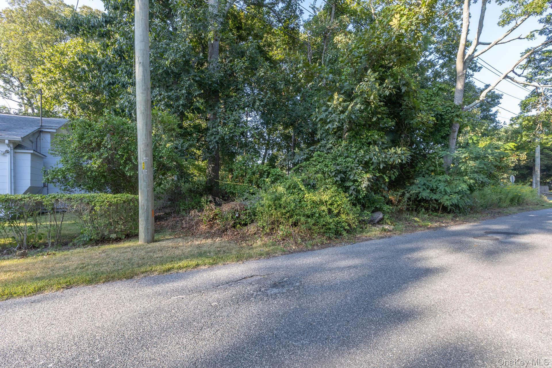 261 Elm Road West Mastic Beach, NY 11951 - Photo 21 of 22 a view of a yard with potted plants