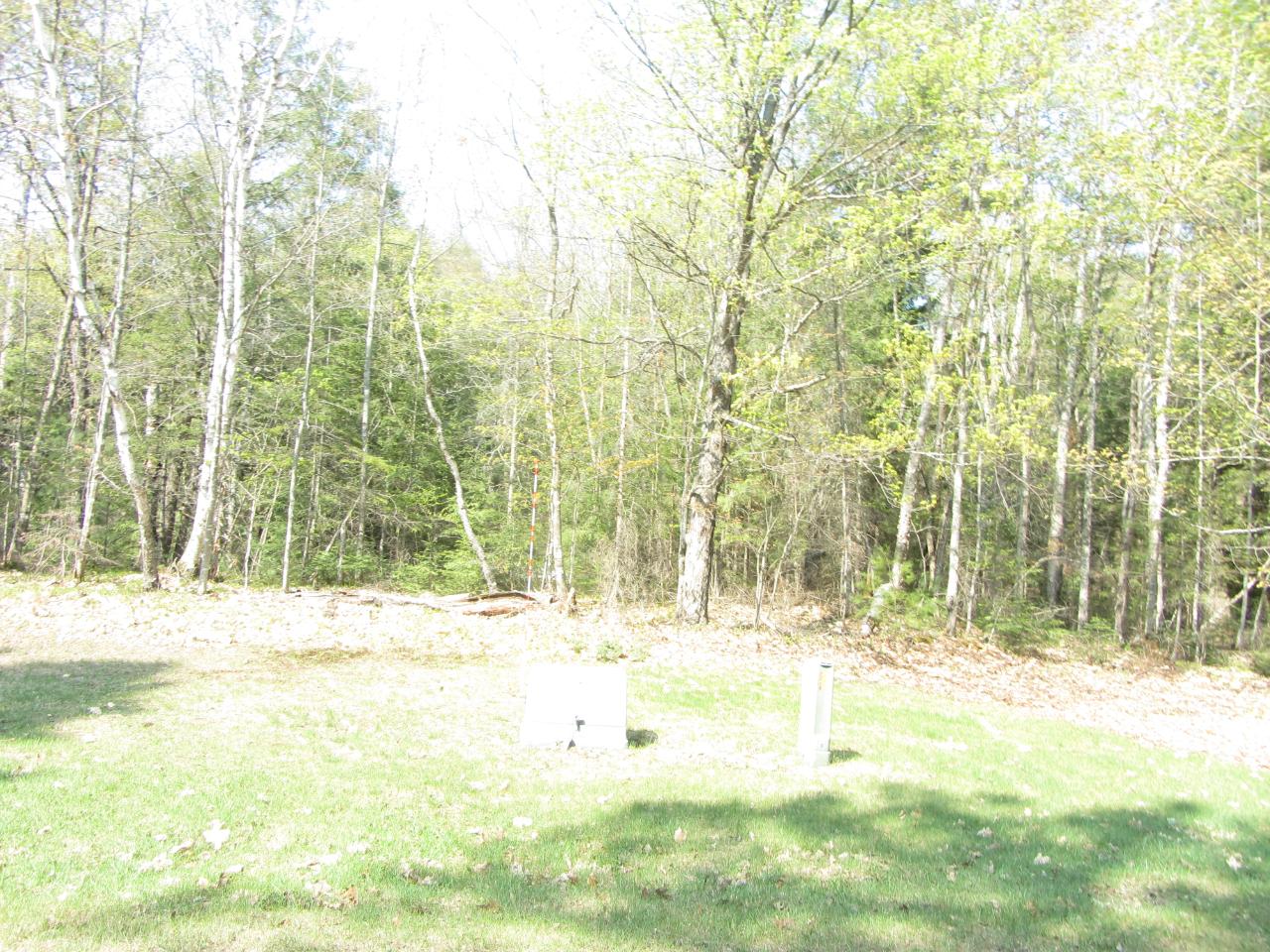 10-ac On Deerskin Road Phelps, WI 54554 - Photo 10 of 12 Gallery Image 10