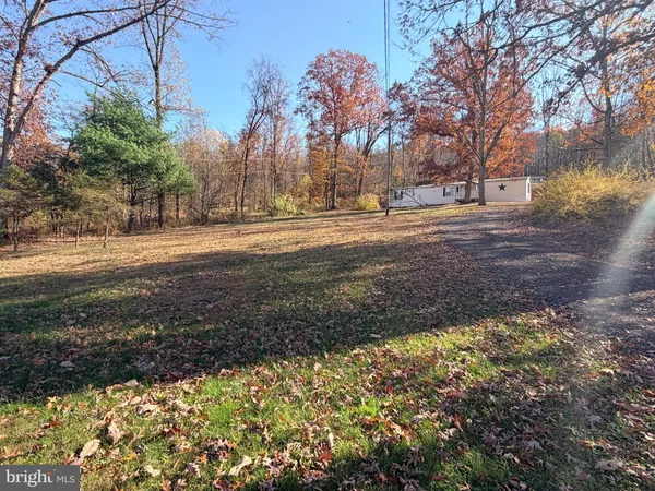 a view of dirt yard with a large tree